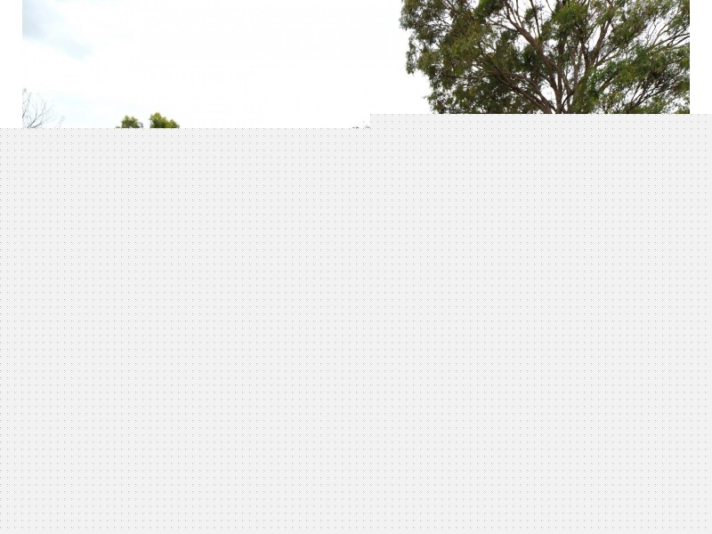 83 Redridge Crescent, Redridge QLD 4660