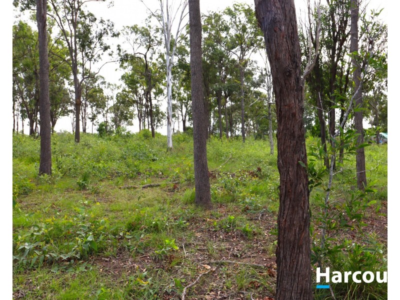 83 Redridge Crescent, Redridge QLD 4660