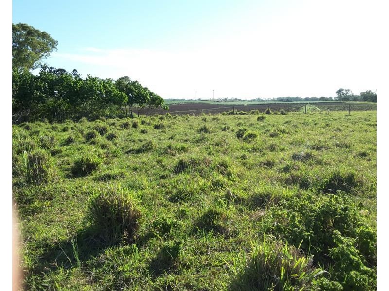 3 The Pines Court, Millbank QLD 4670