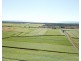 249 Hills Road, Welcome Creek QLD 4670
