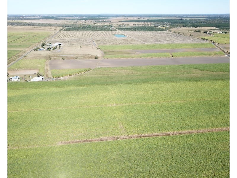249 Hills Road, Welcome Creek QLD 4670