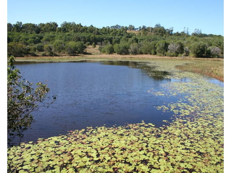 L14 Harney Street, Childers QLD 4660