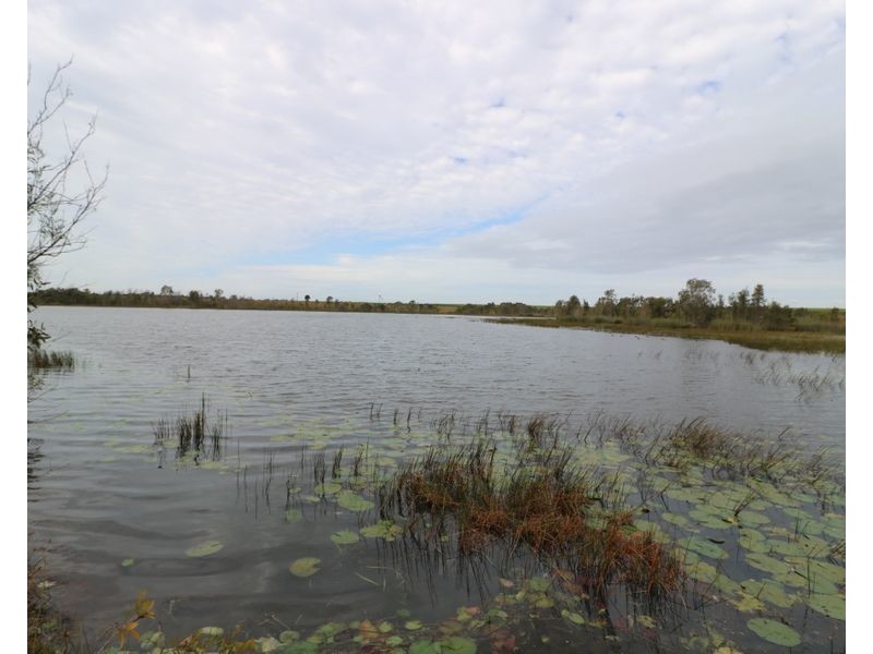 205 Garryowen Road, Redridge QLD 4660