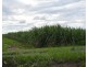 101 Fairydale Road, Welcome Creek QLD 4670