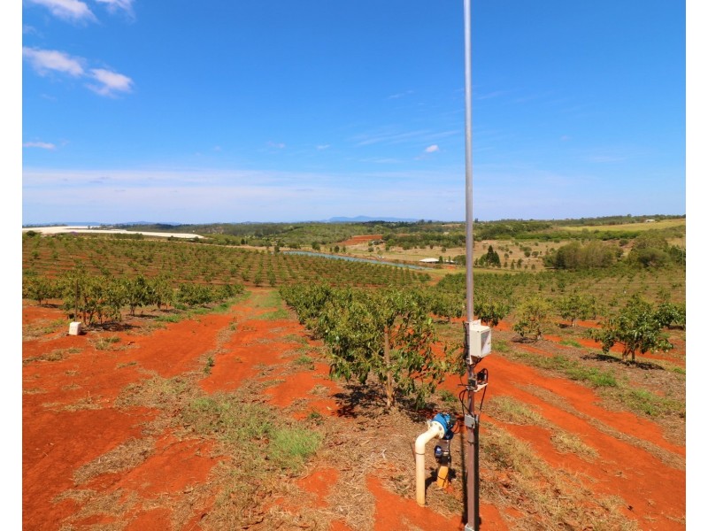 40 Avocado Drive, South Isis QLD 4660