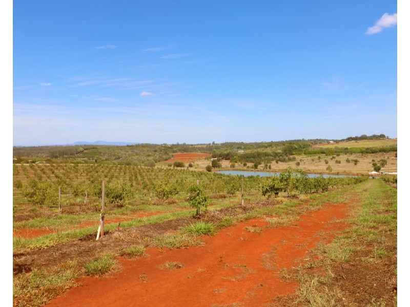 40 Avocado Drive, South Isis QLD 4660