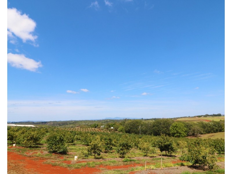 40 Avocado Drive, South Isis QLD 4660