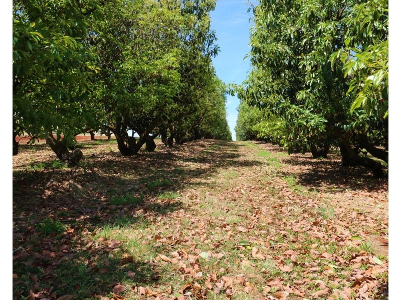 236 Butchers Road, South Isis QLD 4660