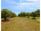 LOT 1,3,4 &5 Butchers Road, South Isis QLD 4660