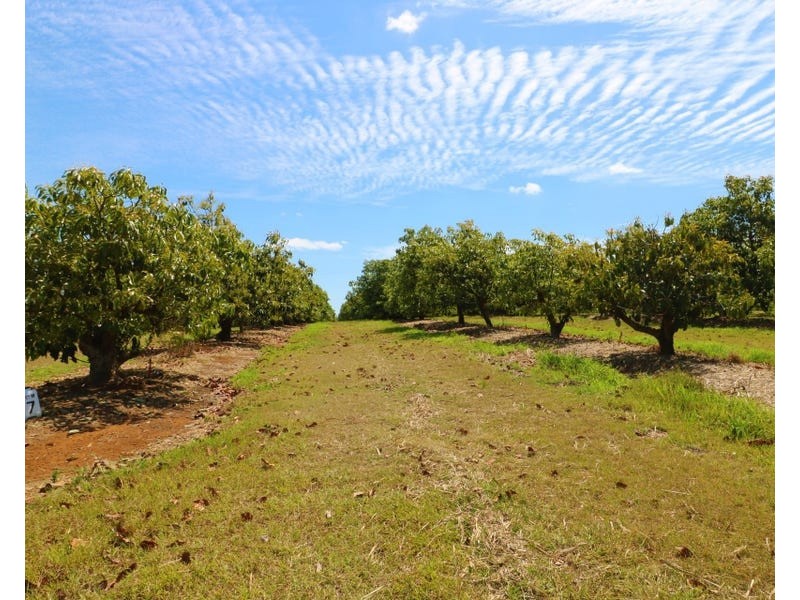LOT 1,3,4 &5 Butchers Road, South Isis QLD 4660