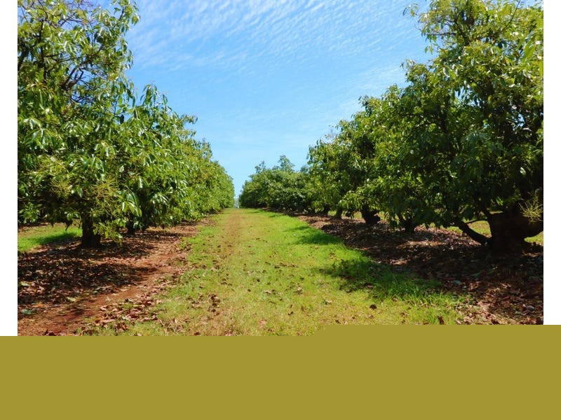 LOT 1,3,4 &5 Butchers Road, South Isis QLD 4660