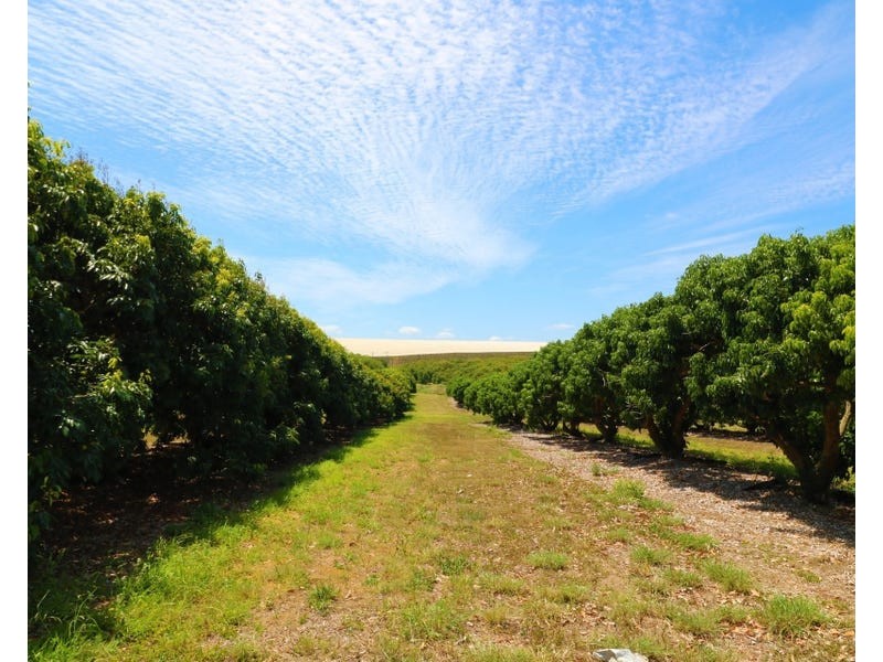 LOT 1,3,4 &5 Butchers Road, South Isis QLD 4660