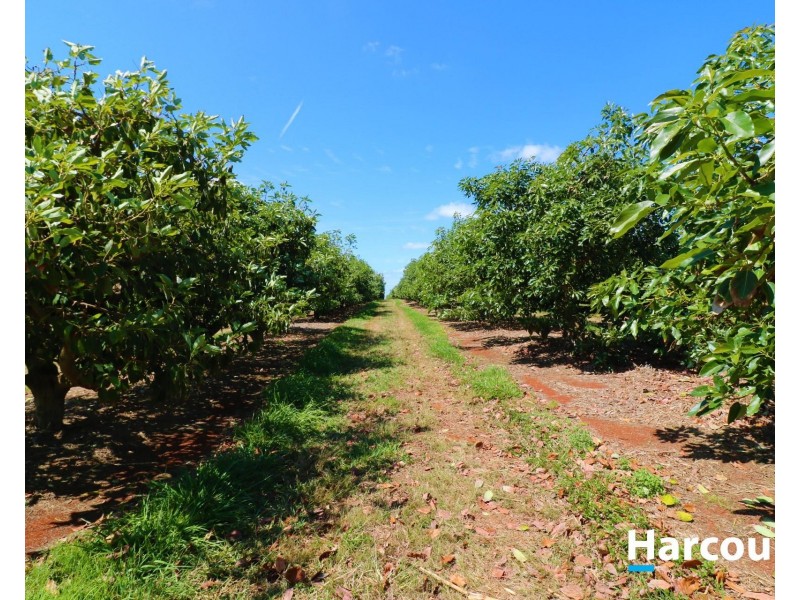 Lot 1 Avocado  Drive, South Isis QLD 4660