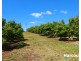 Lot 1 Avocado  Drive, South Isis QLD 4660