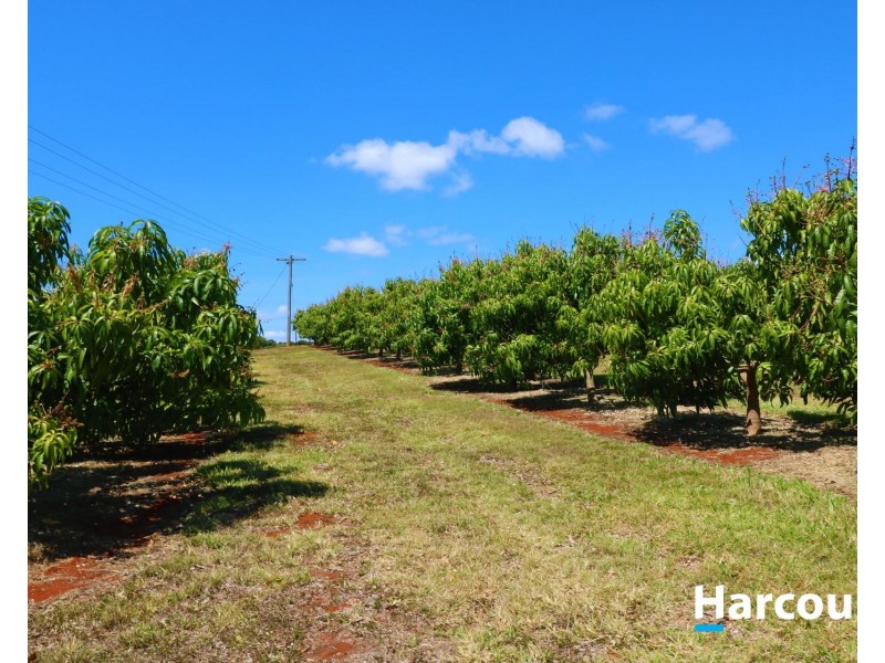 Lot 1 Avocado  Drive, South Isis QLD 4660