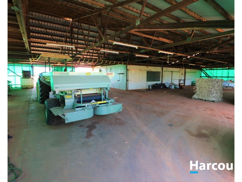 Lot 1 Avocado  Drive, South Isis QLD 4660