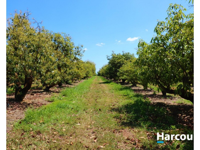 Lot 1 Avocado  Drive, South Isis QLD 4660