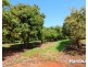 Lot 1 Avocado  Drive, South Isis QLD 4660
