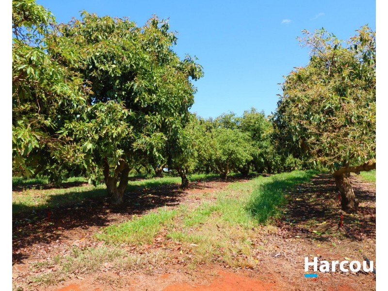 Lot 1 Avocado  Drive, South Isis QLD 4660