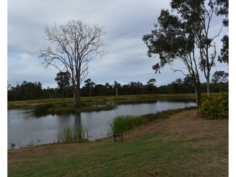 91 Lerch Road, Sharon QLD 4670