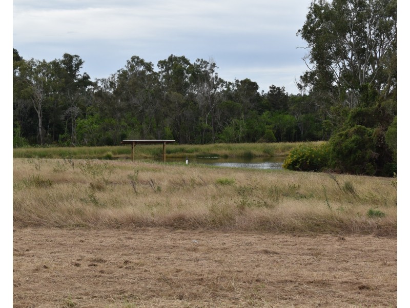 91 Lerch Road, Sharon QLD 4670