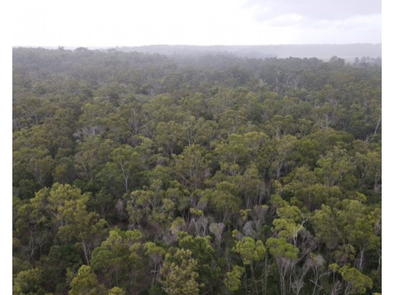 0 Mullett Creek Road, Rosedale QLD 4674