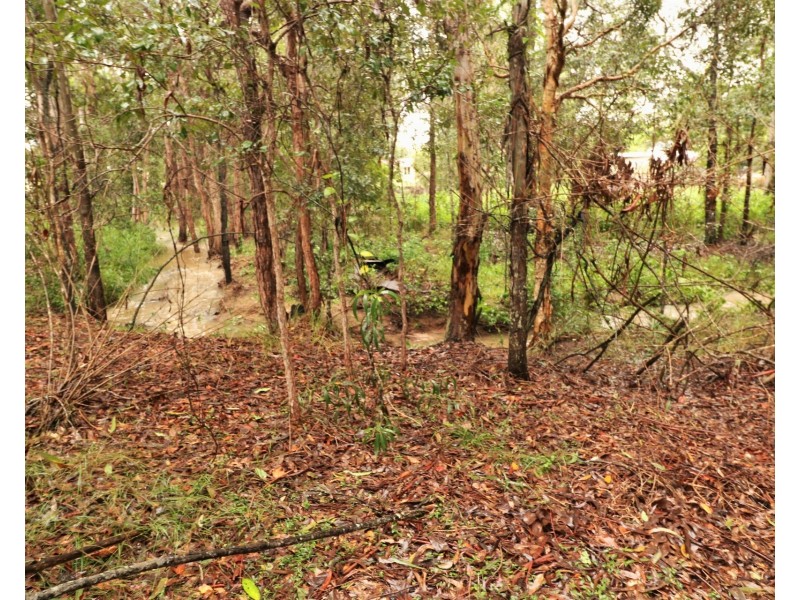 8 Eucalypt Court, Apple Tree Creek QLD 4660