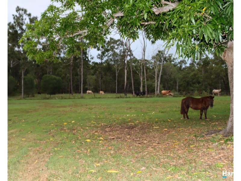 760 John Clifford Way, Lowmead QLD 4676