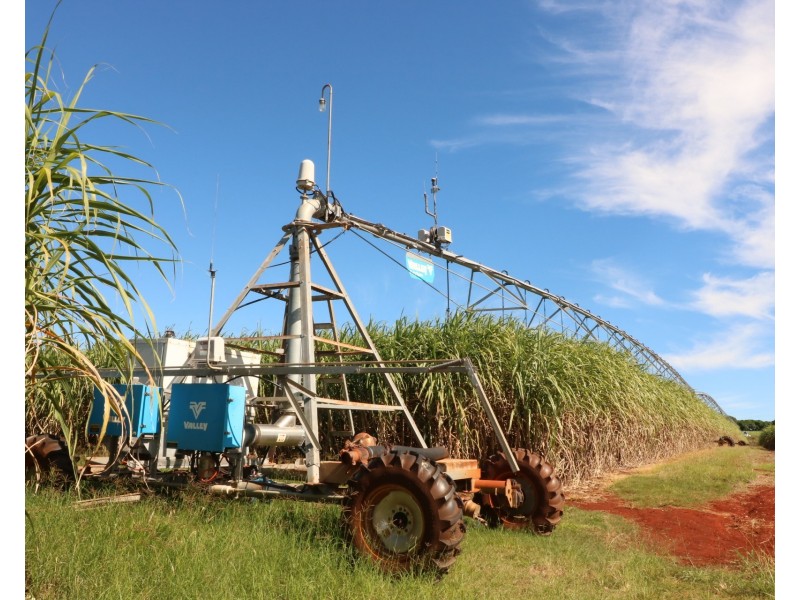 43-79 Knockroe Road, North Isis QLD 4660