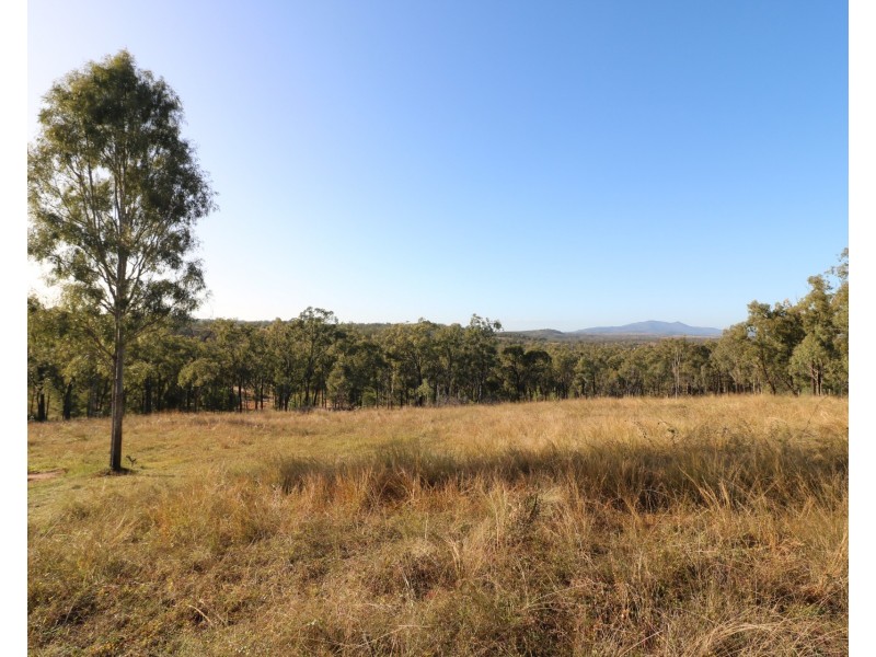 L161 Old Booyal Road, Dallarnil QLD 4621