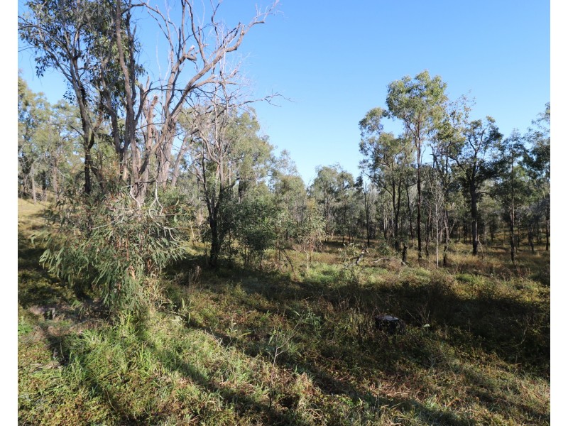 L161 Old Booyal Road, Dallarnil QLD 4621