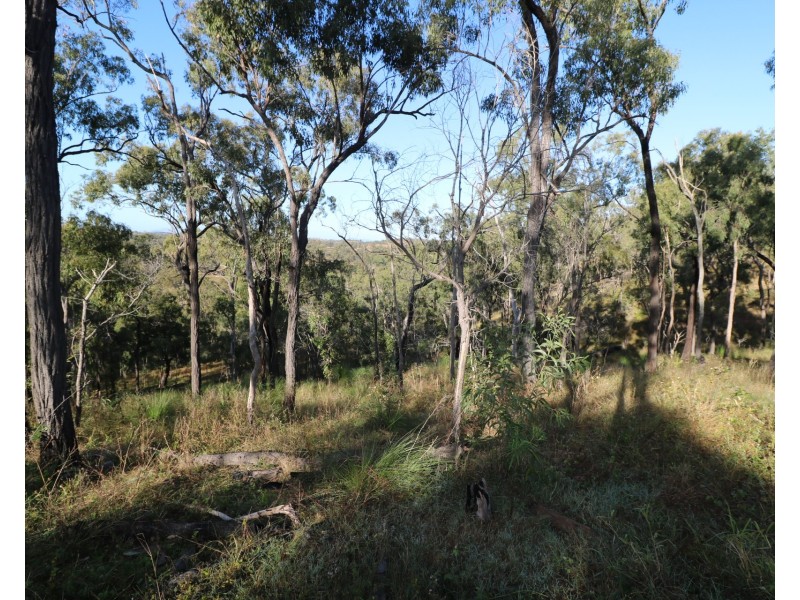 L161 Old Booyal Road, Dallarnil QLD 4621