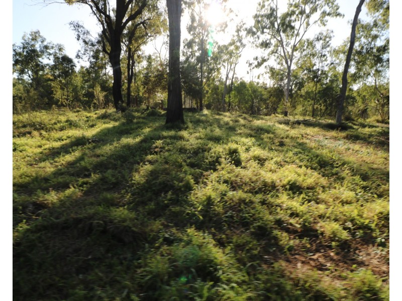 L161 Old Booyal Road, Dallarnil QLD 4621