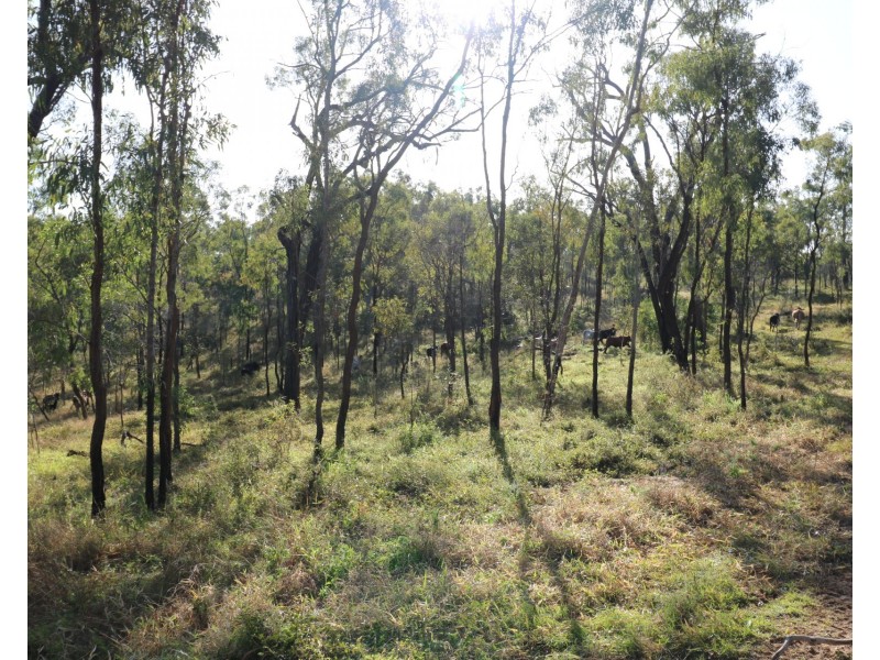 L161 Old Booyal Road, Dallarnil QLD 4621