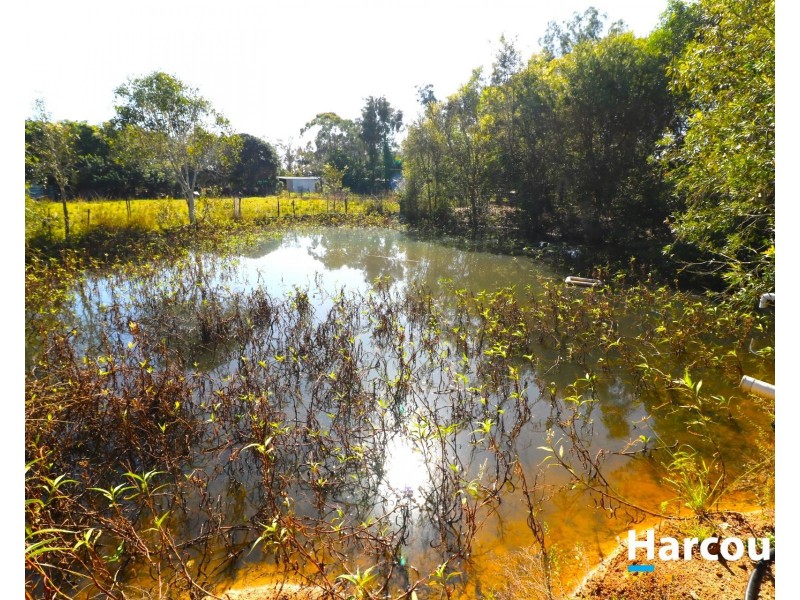 1401 Buxton Rd, Buxton QLD 4660