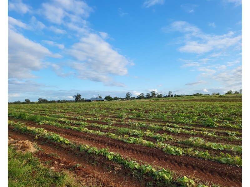 410 Knockroe Road, North Isis QLD 4660