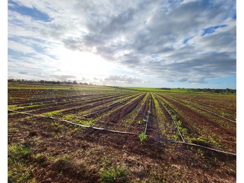 410 Knockroe Road, North Isis QLD 4660