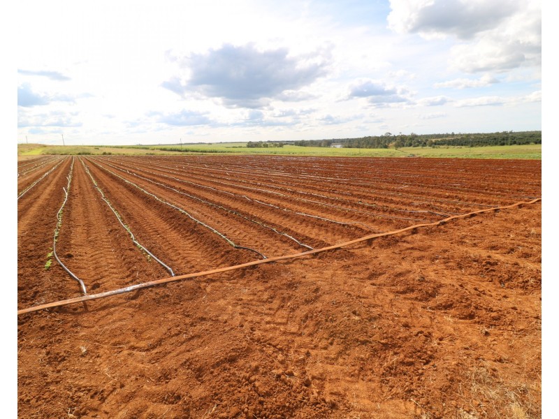 410 Knockroe Road, North Isis QLD 4660