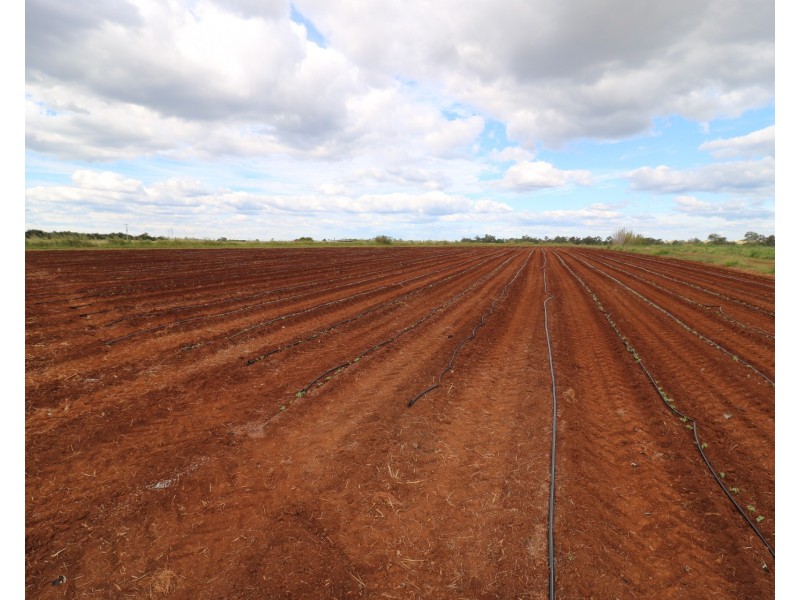 410 Knockroe Road, North Isis QLD 4660