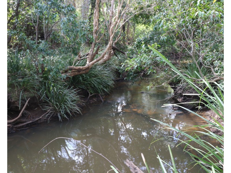 Lot 66 Sims Road, Abington QLD 4660