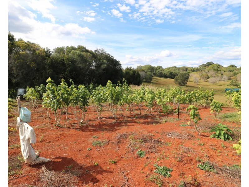 63 South Isis Road, South Isis QLD 4660