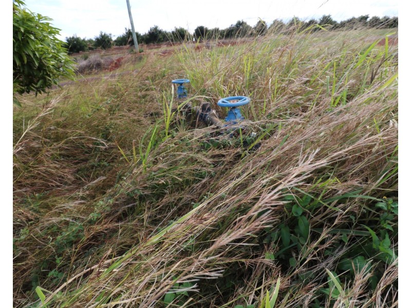 63 South Isis Road, South Isis QLD 4660