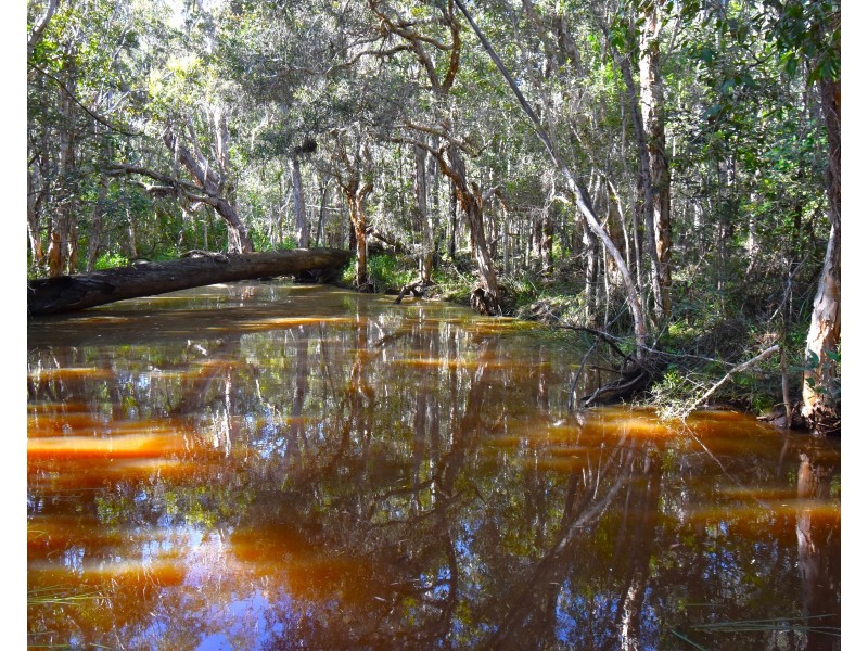 494 Butchers Road, South Isis QLD 4660