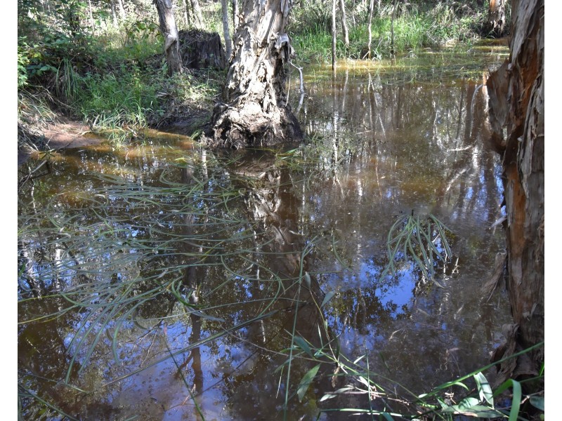 494 Butchers Road, South Isis QLD 4660