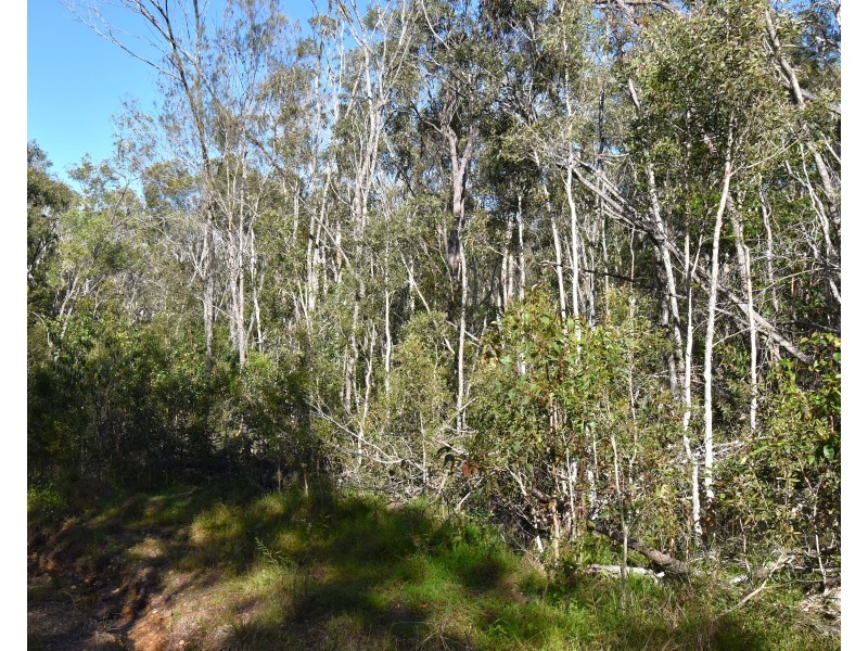 494 Butchers Road, South Isis QLD 4660