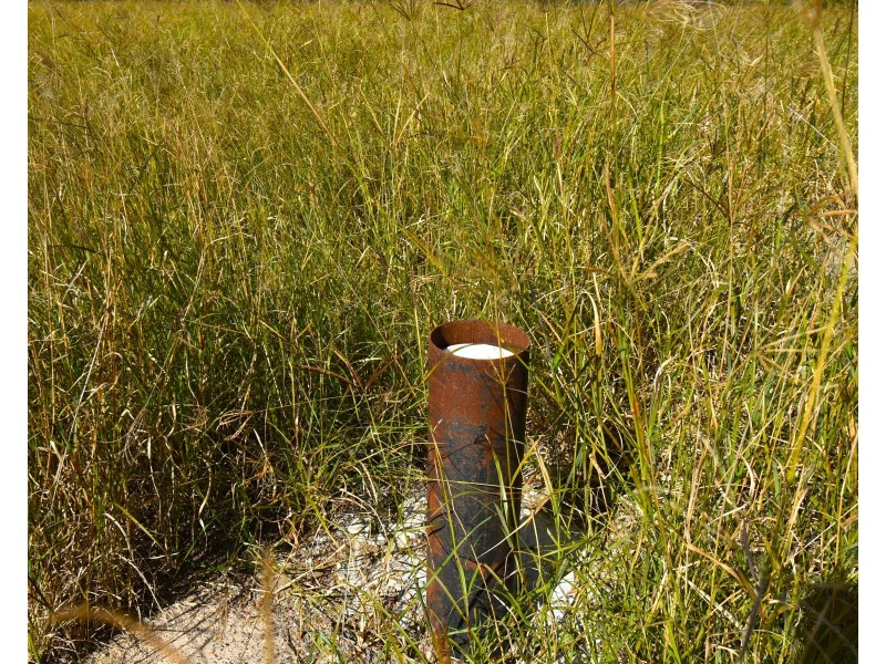 494 Butchers Road, South Isis QLD 4660