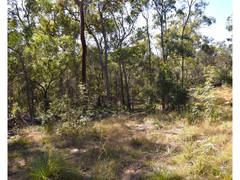 494 Butchers Road, South Isis QLD 4660