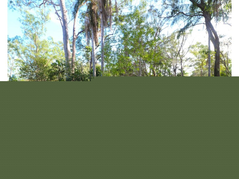 21 Redgwell Close, Apple Tree Creek QLD 4660