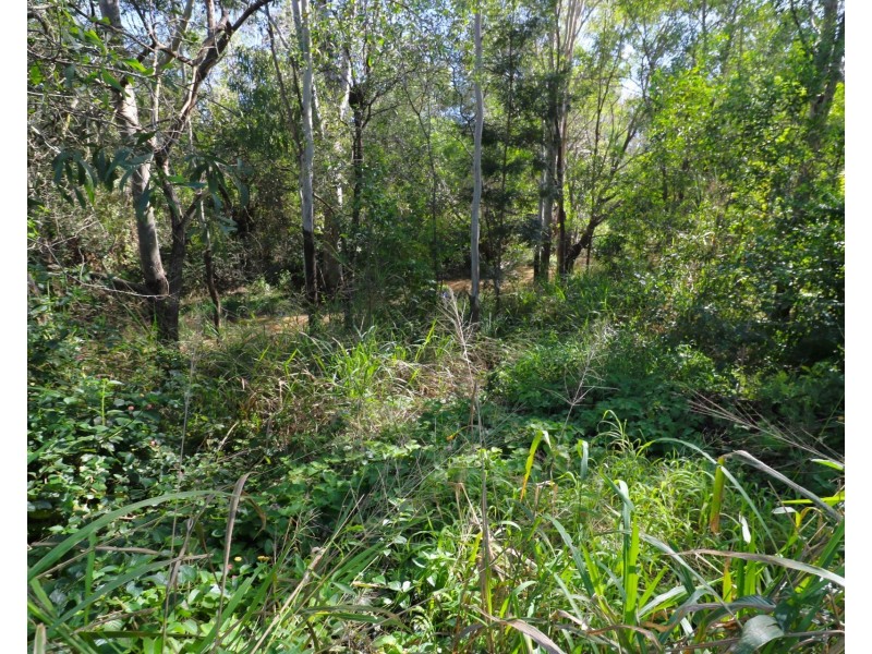 2 Windmill Drive, Apple Tree Creek QLD 4660