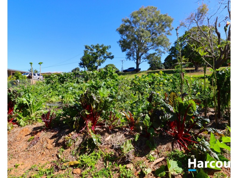 17 Elizabeth St, Childers QLD 4660